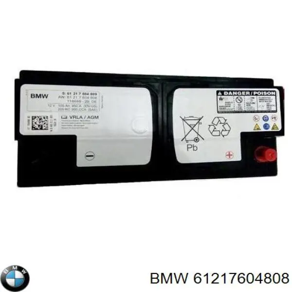 61217604808 BMW bateria recarregável (pilha)