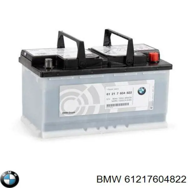 61217604822 BMW bateria recarregável (pilha)