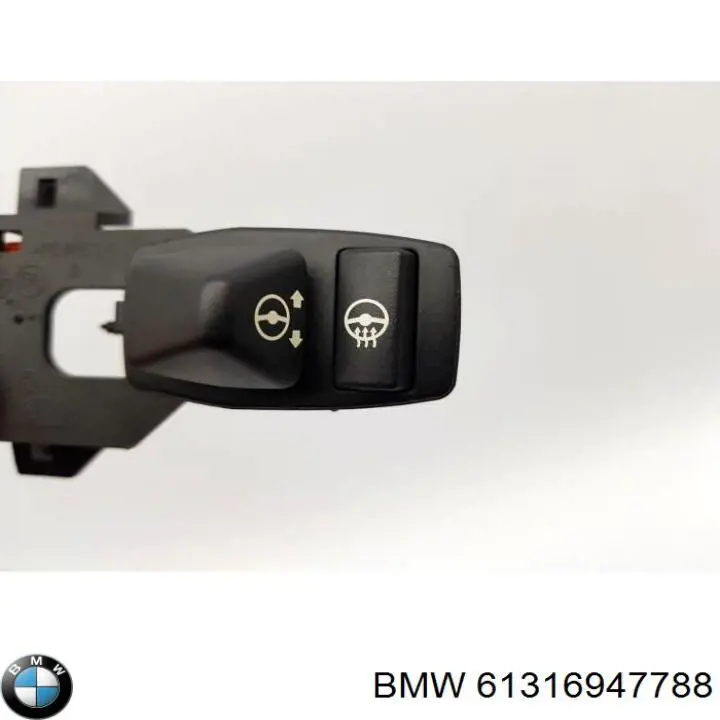 61316947788 BMW 