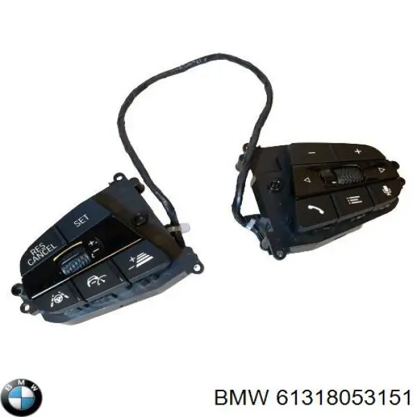 61318053151 BMW 