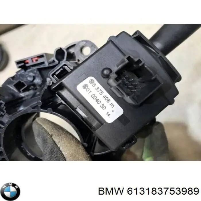 613183753989 BMW 