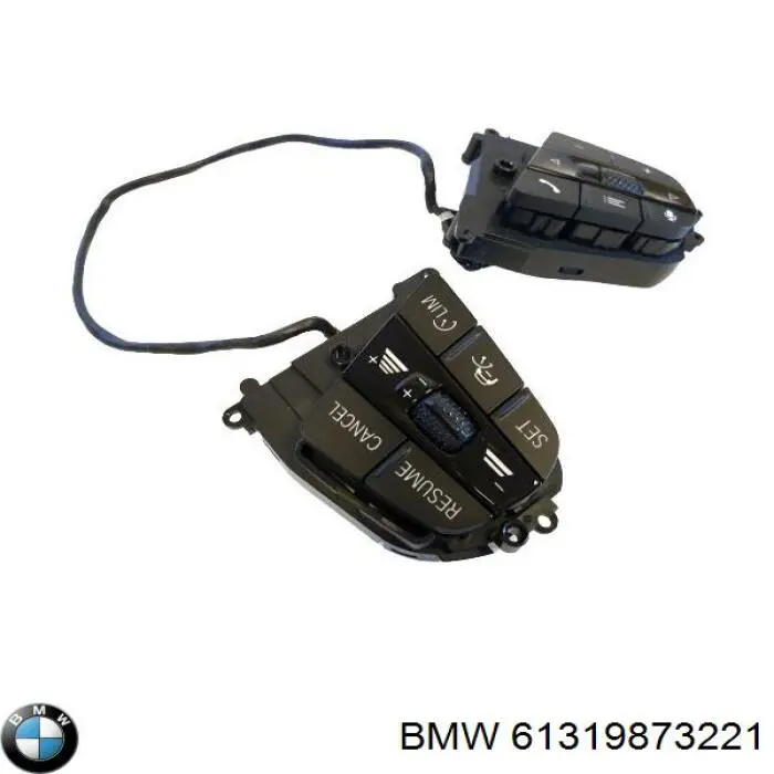 61319873221 BMW 