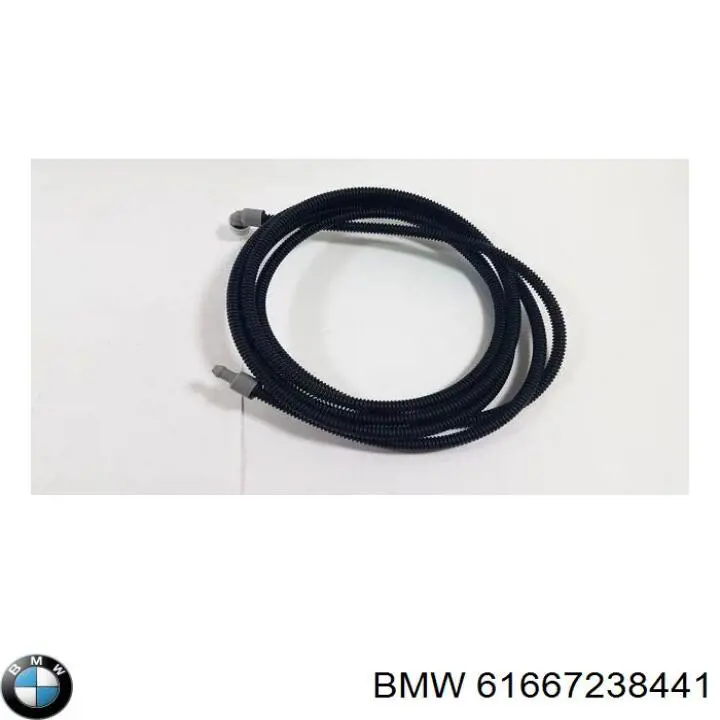  61667238441 BMW