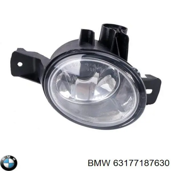 Luzes de nevoeiro direitas para BMW X6 (E71)