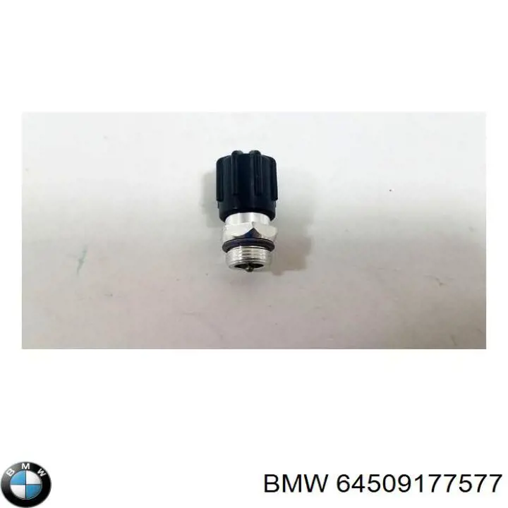 64509177577 BMW válvula de reabastecimento de aparelho de ar condicionado