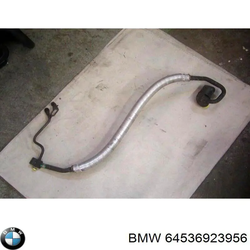  64536923956 BMW