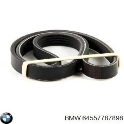 Купить 64557787898 BMW Ремень генератора
