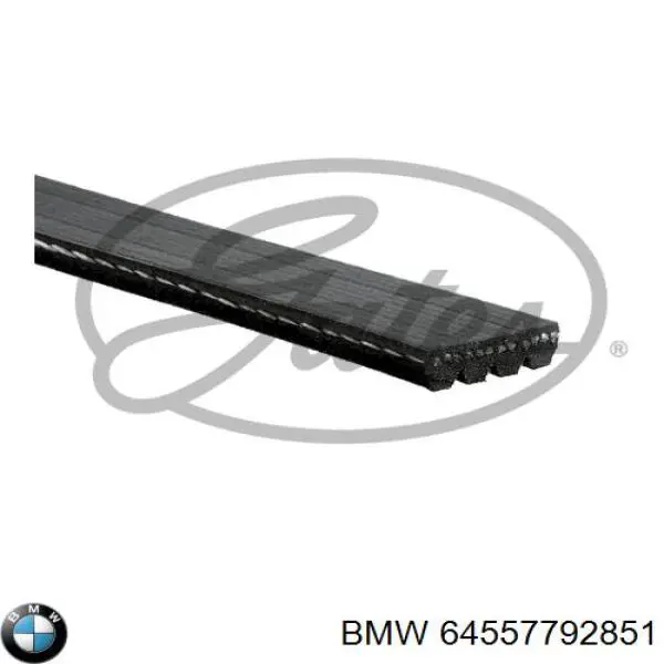 Купить 64557792851 BMW Ремень генератора