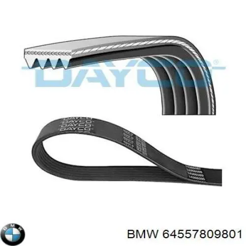 Correa trapezoidal 64557809801 BMW