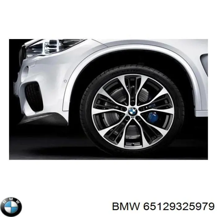 Магнитола (радио AM/FM) BMW 65129325979 цена, от 1948.10 USD
