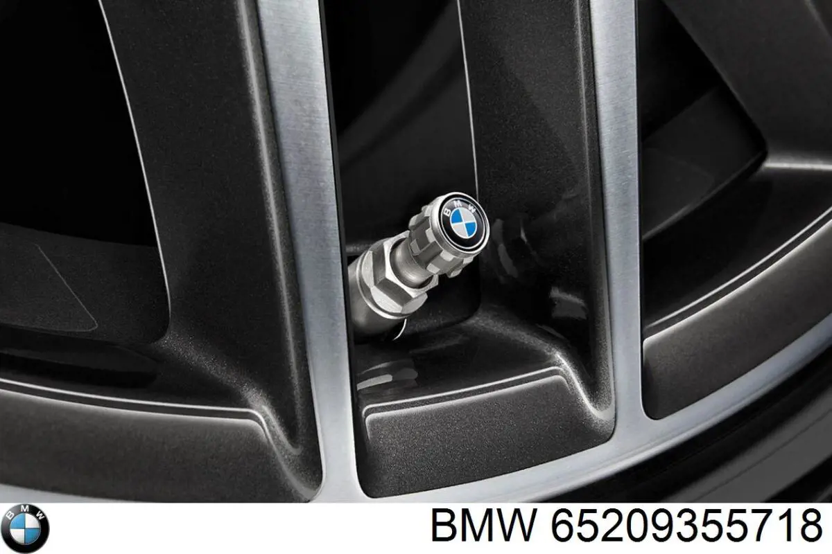  BMW 65209355718 цена, от 47.23 USD
