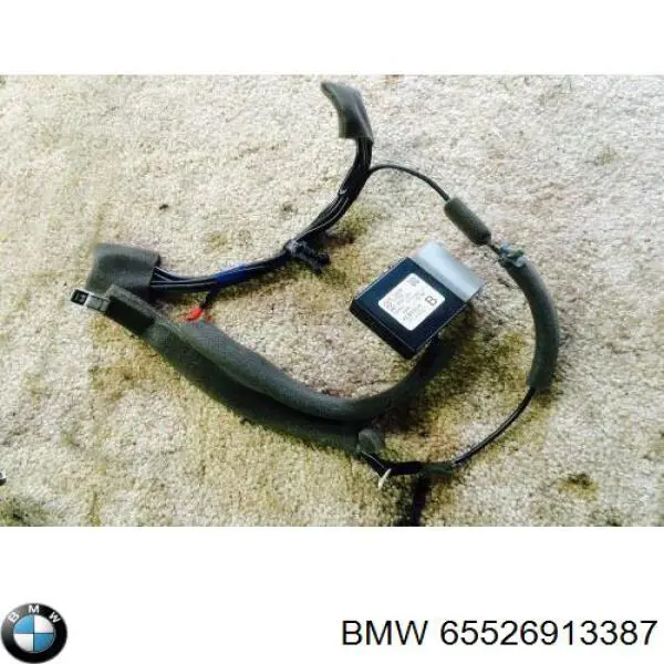  65526923879 BMW