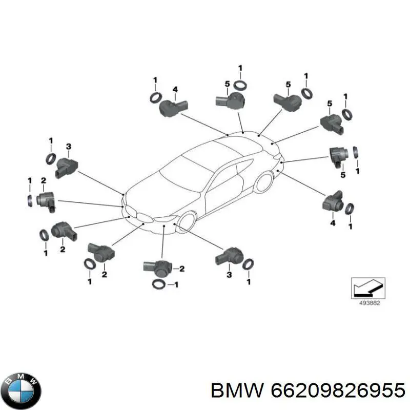  66209826955 BMW