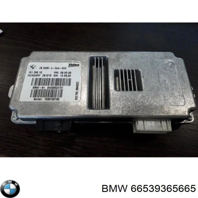  66539396831 BMW