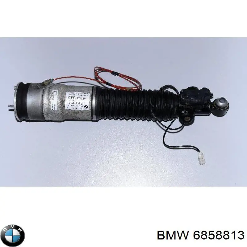Стойка задняя, левая Arnott AS2824 цена, от 237.24 USD