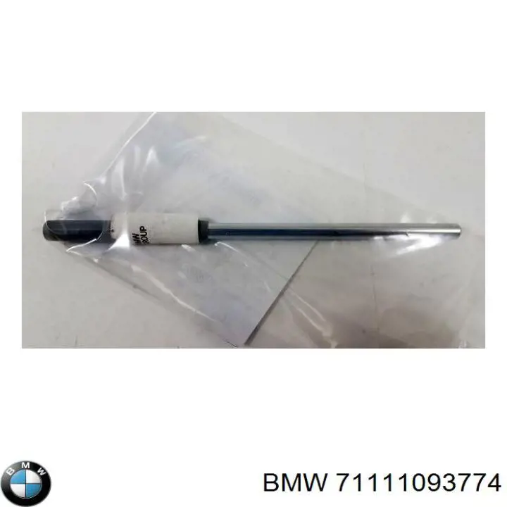  71111093774 BMW