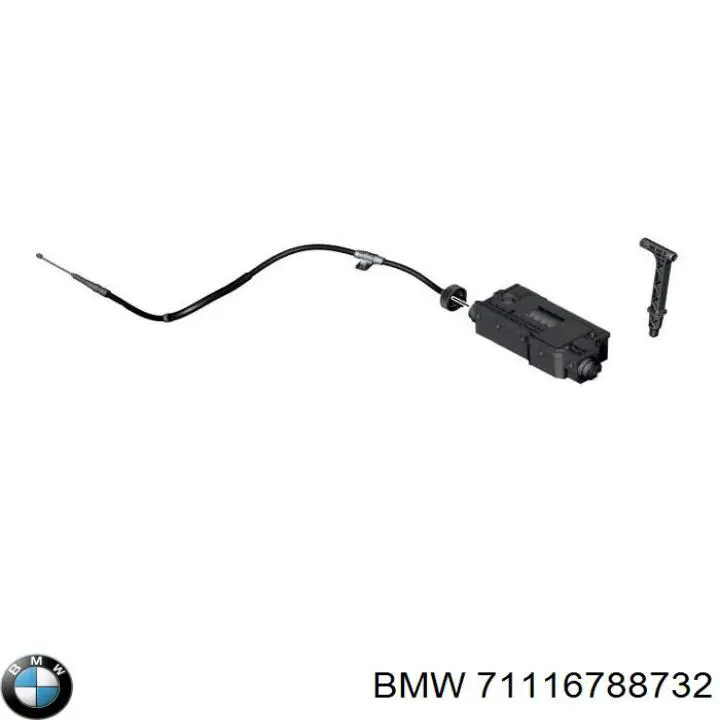 71116788732 BMW 