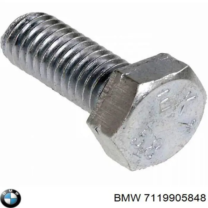  7119905848 BMW