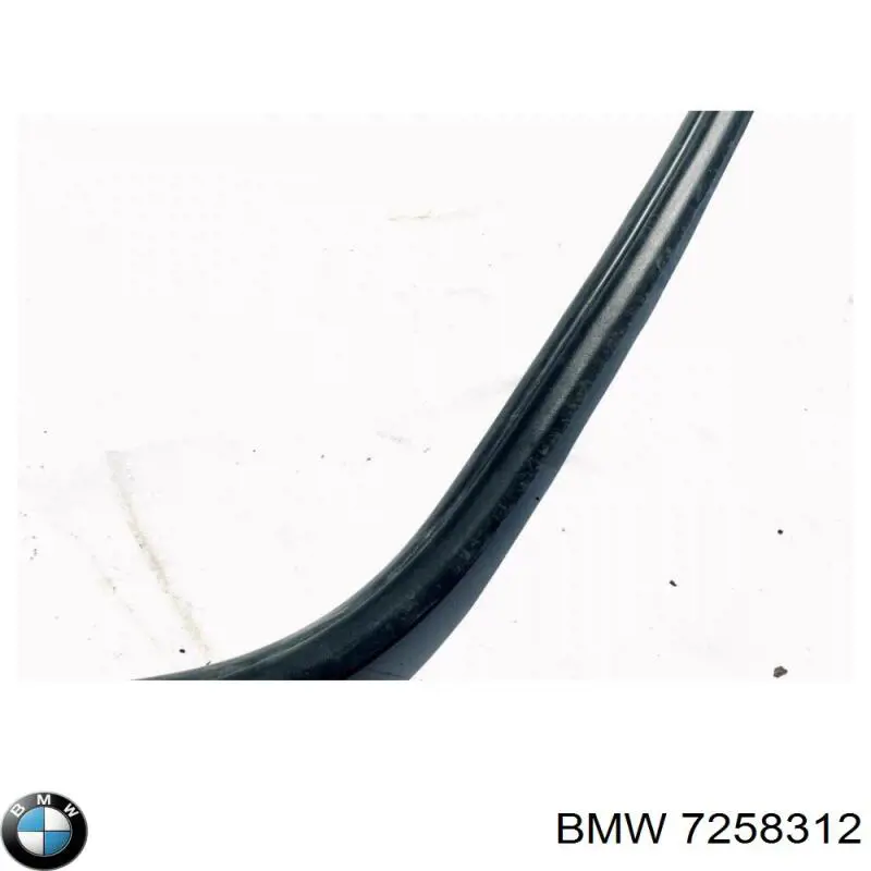 7258312 BMW 