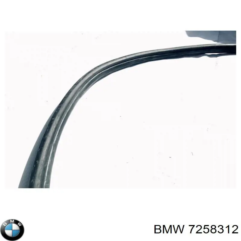  BMW 7258312 цена, от 31.04 USD