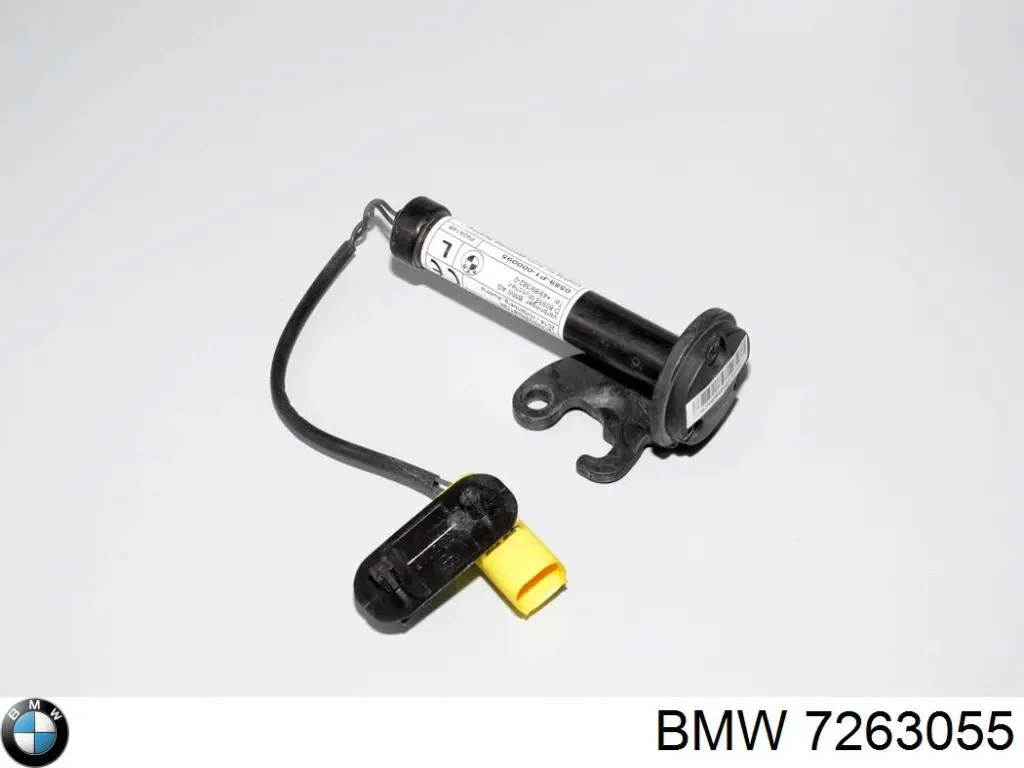  7263055 BMW