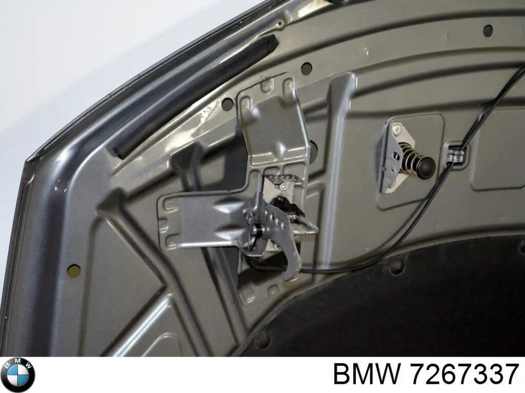 Капот BMW 7267337 цена, от 206.74 USD