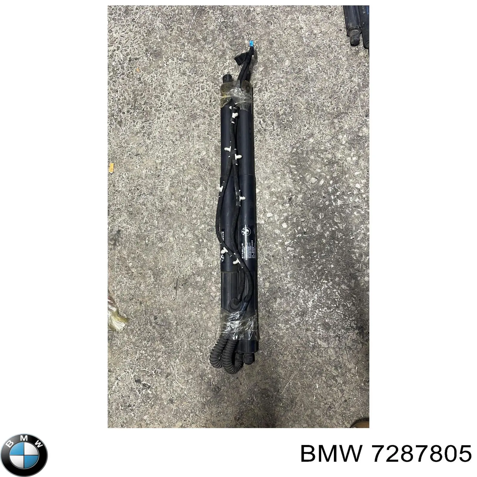  7287805 BMW