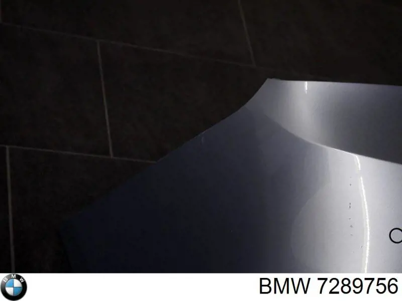 Молдинг бампера заднего центральный 51127289756 BMW