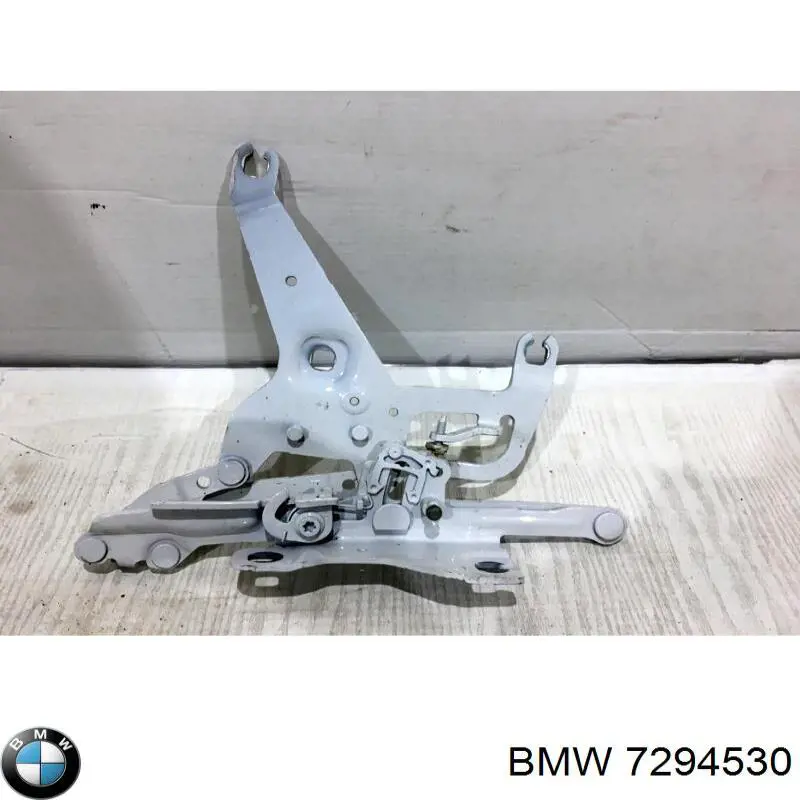  7294530 BMW