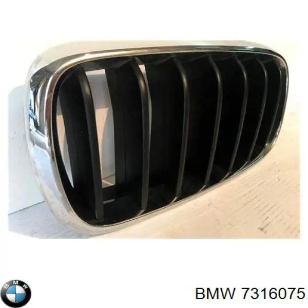  7316075 BMW