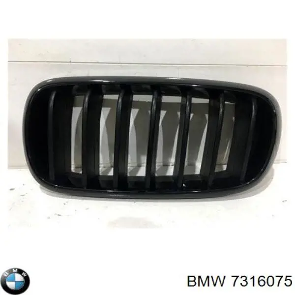  7316075 BMW