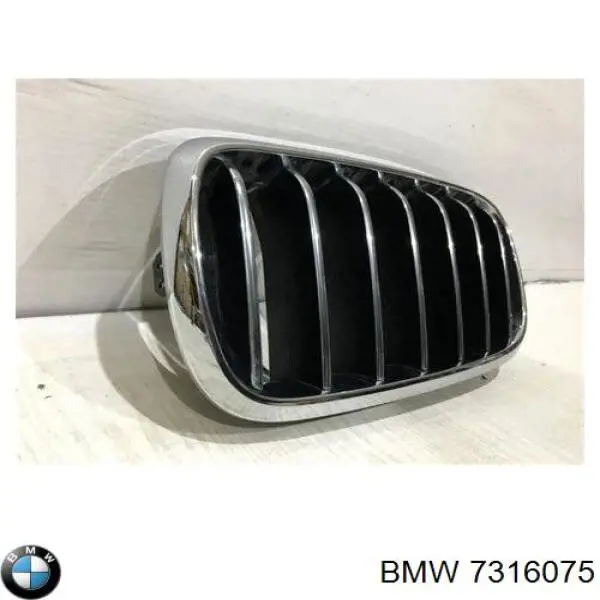7316075 BMW 