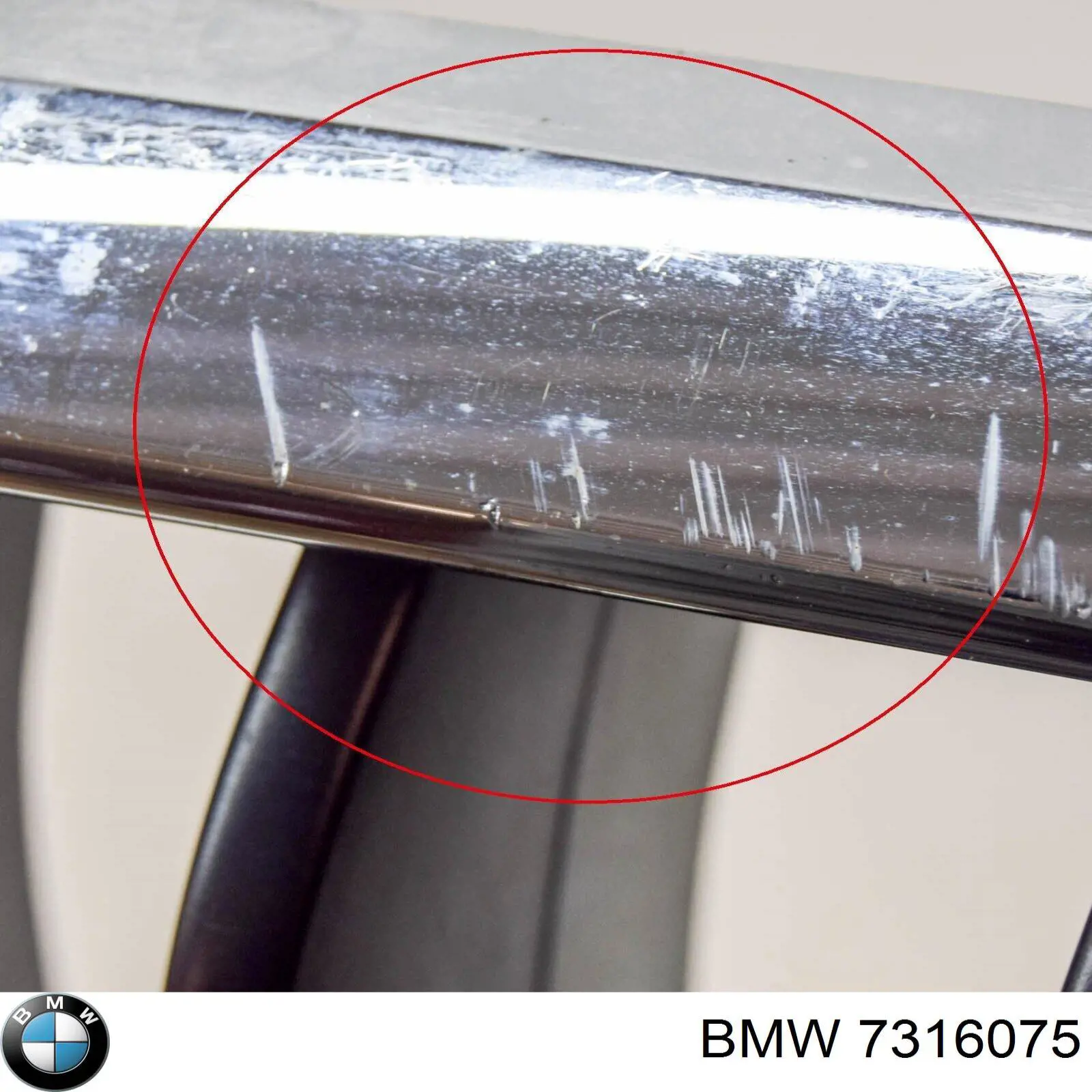 7316075 BMW 