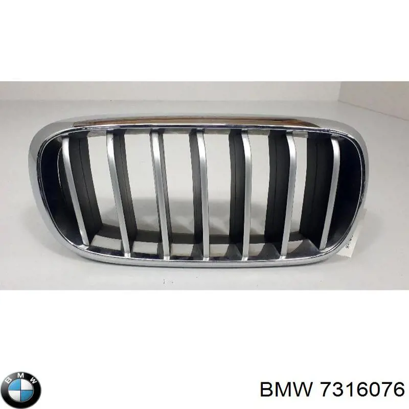  7316076 BMW