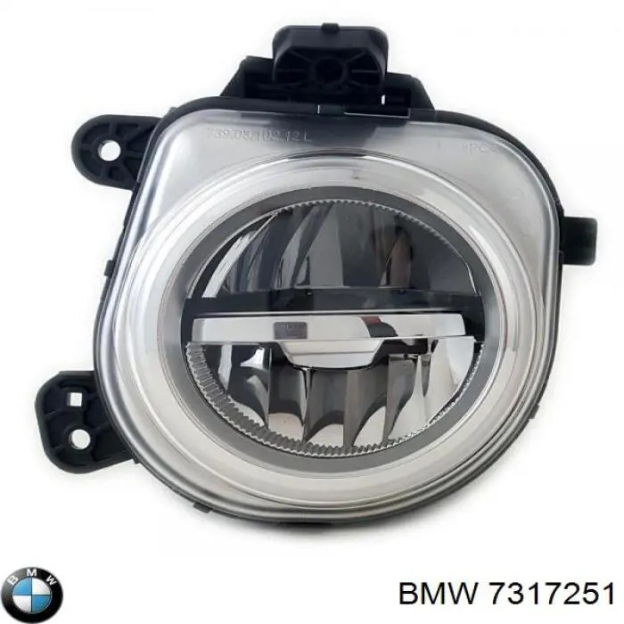 7317251 BMW luzes de nevoeiro esquerdas