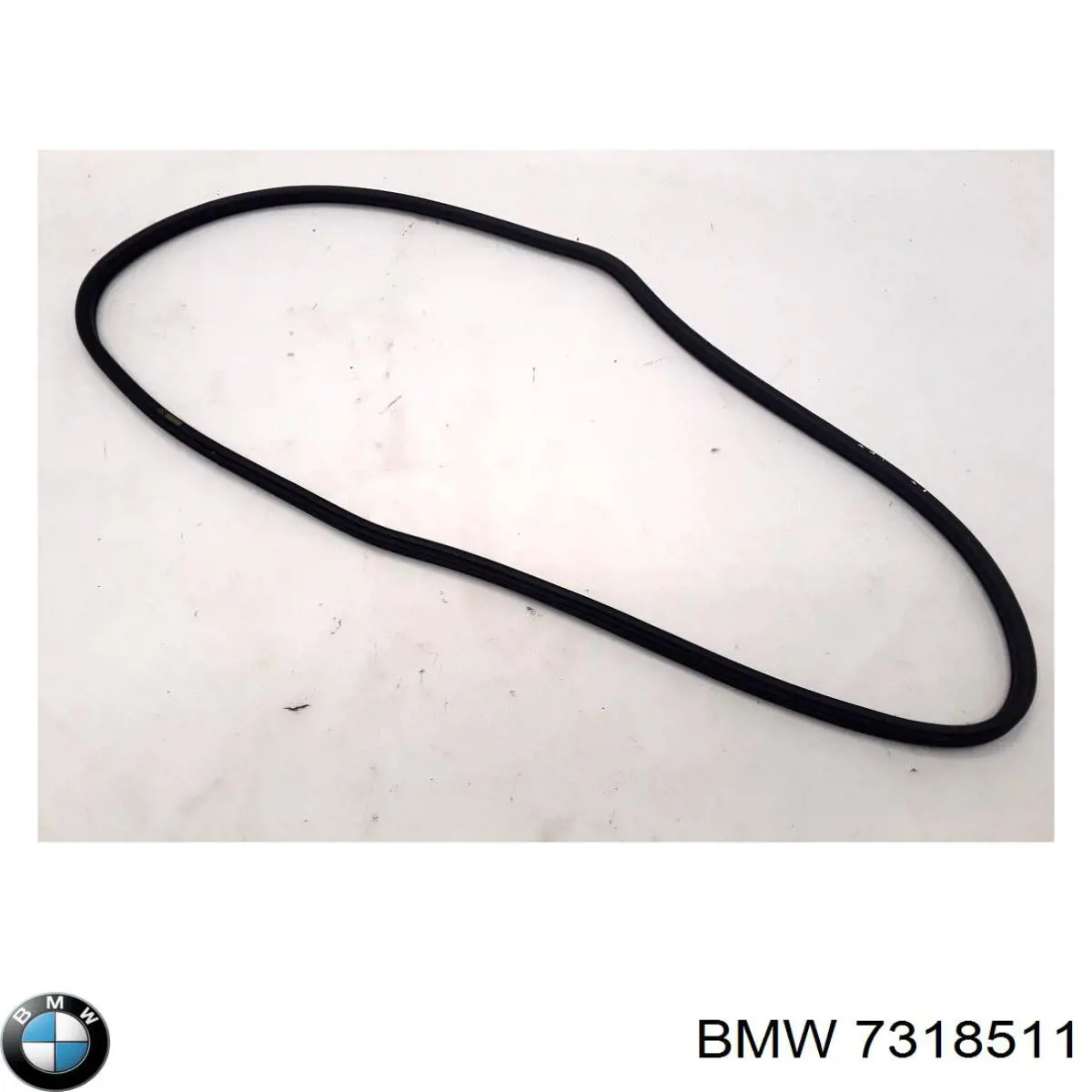 7318511 BMW 