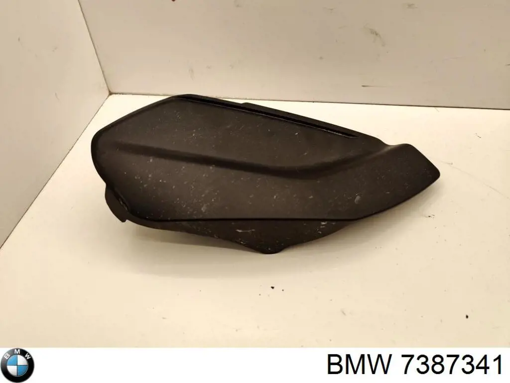 7387341 BMW 