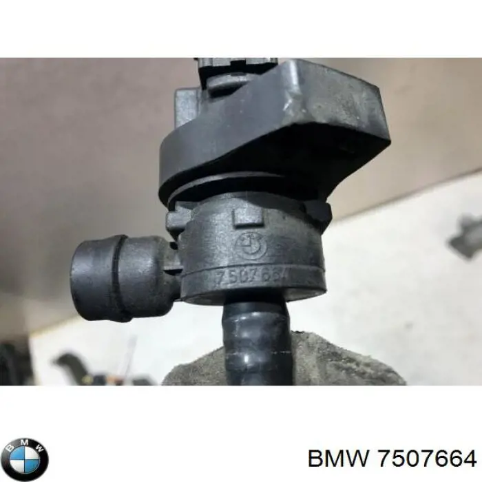  7507664 BMW