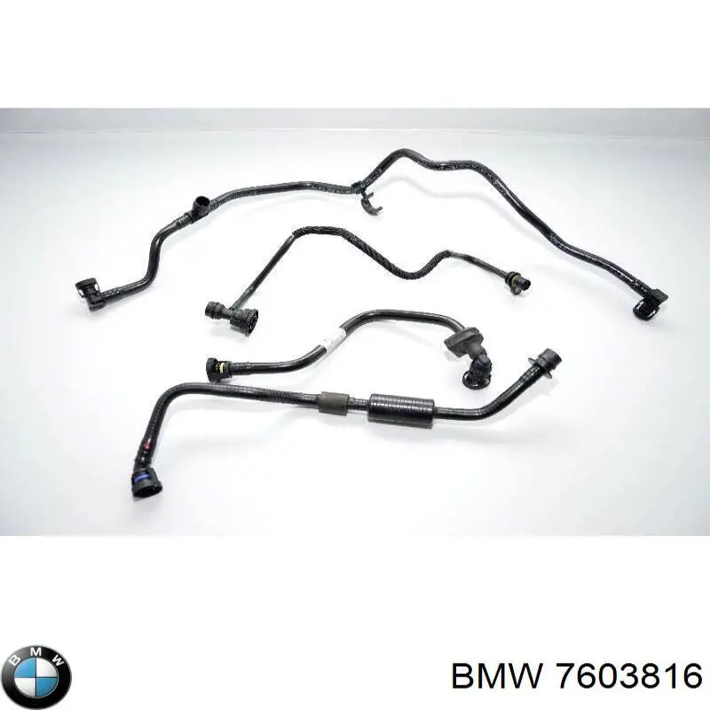  7603816 BMW