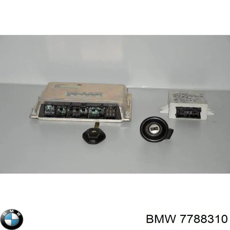 7788310 BMW Мозги двигателя