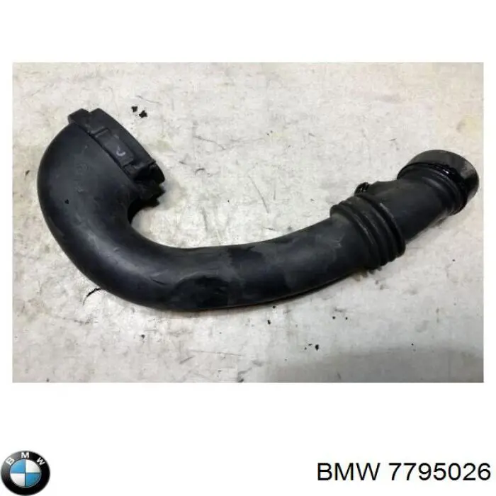  7795026 BMW