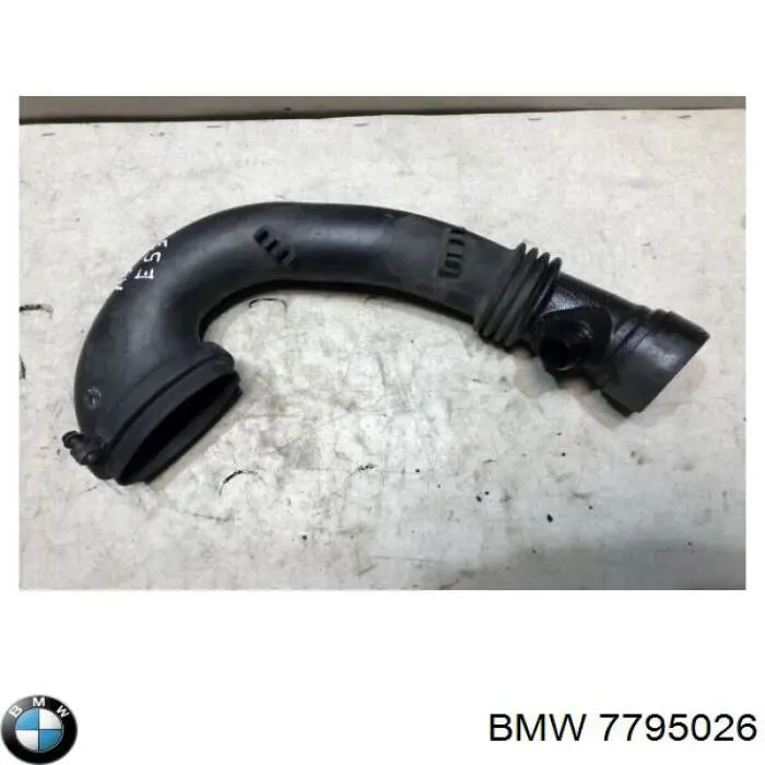 7795026 BMW 