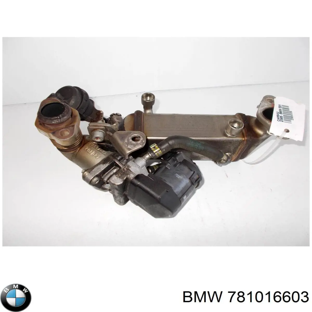  781016603 BMW