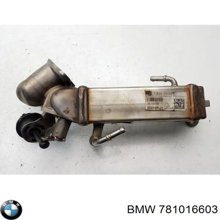 BMW 781016603 цена, от 73.36 USD