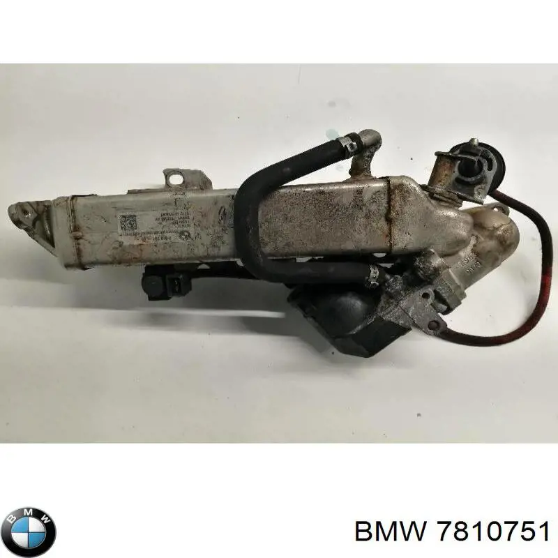  7810751 BMW