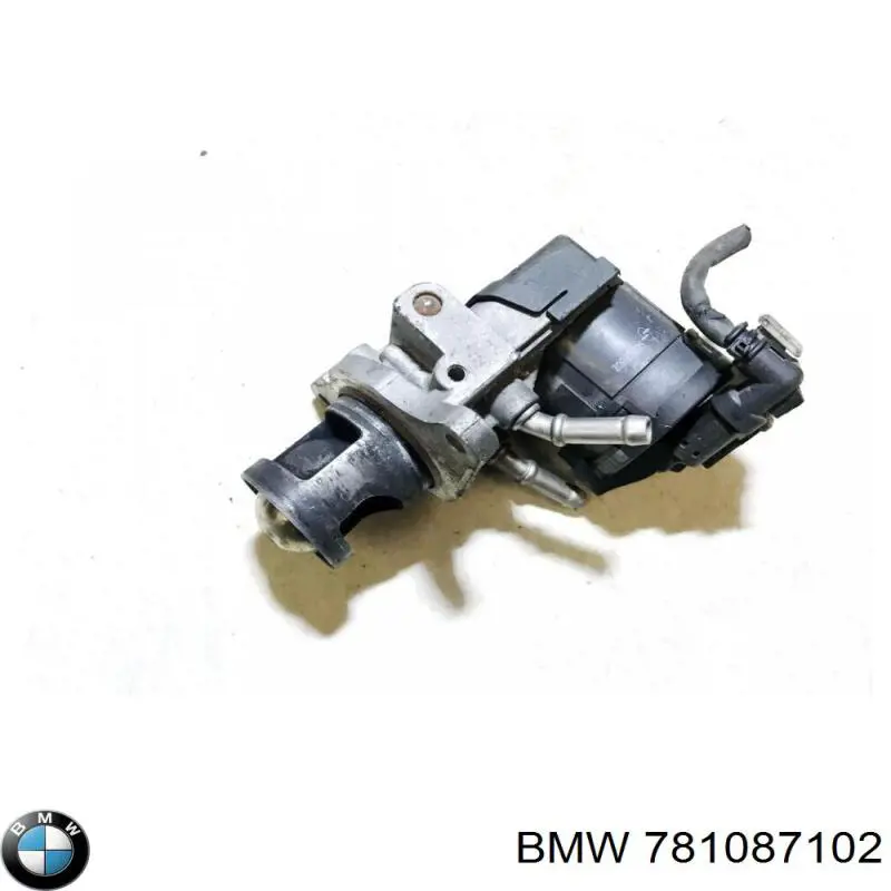 781087102 BMW 