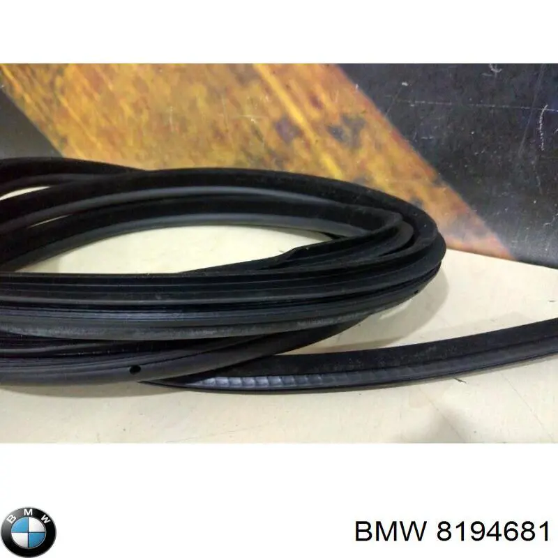 8194681 BMW 