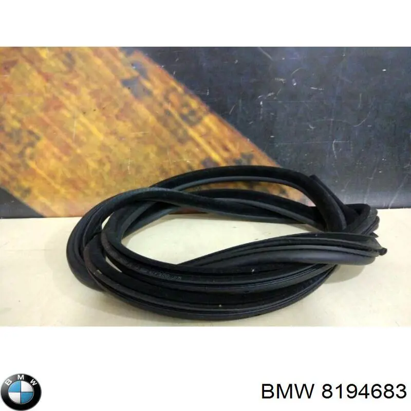 8194683 BMW 