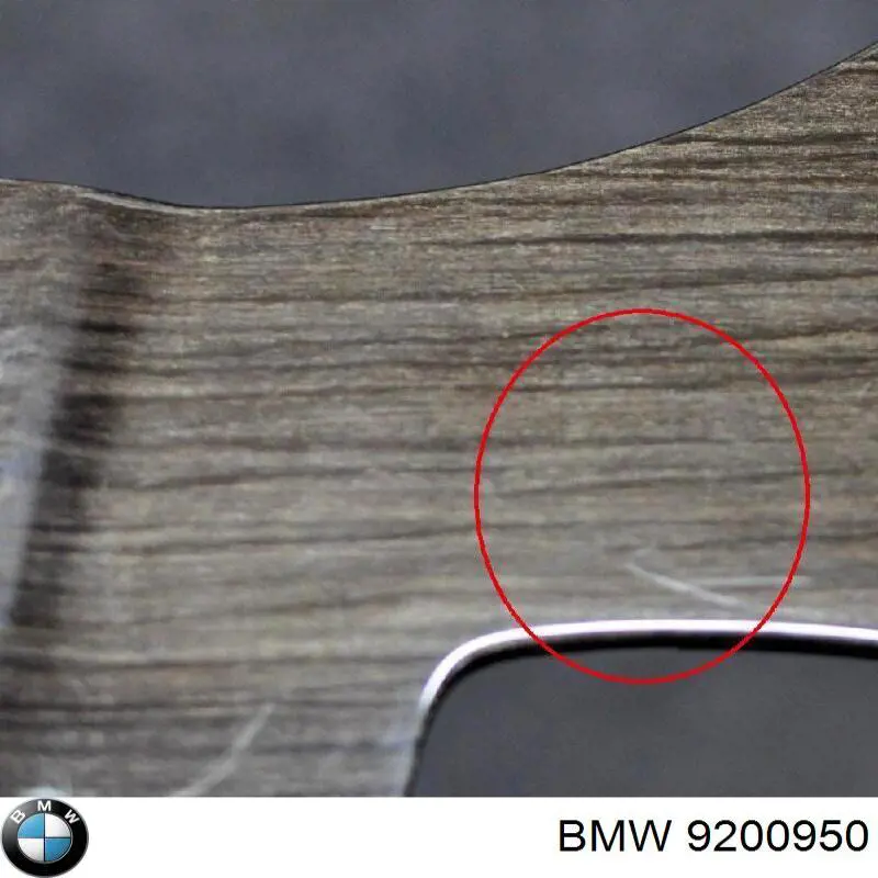 9200950 BMW 