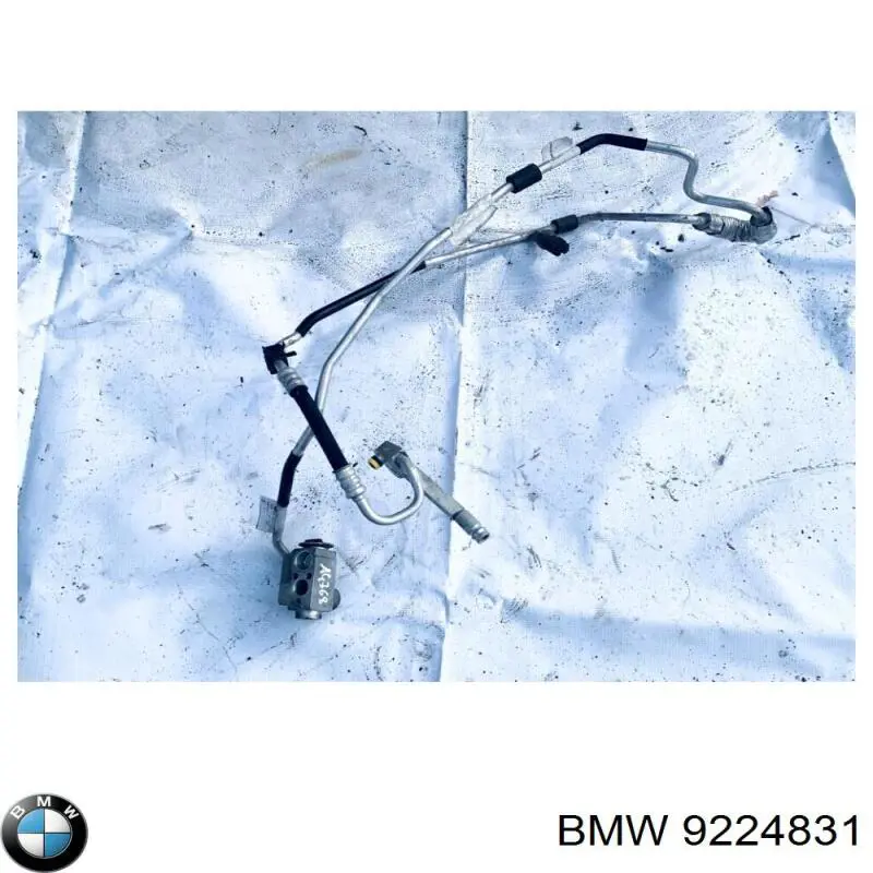  9224831 BMW